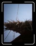 100_0031 * 912 x 1216 * (263KB)