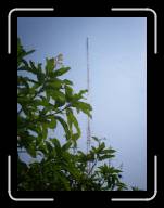 100_0032 * 912 x 1216 * (284KB)
