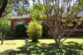 100_0055s * 540 x 360 * (80KB)