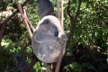 100_0092s * 540 x 360 * (64KB)