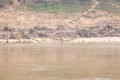 100_0858s * 540 x 360 * (36KB)