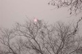 100_1002s * 540 x 360 * (48KB)