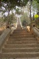 100_1030s * 360 x 540 * (54KB)