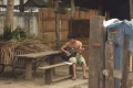 100_1071s * 540 x 360 * (41KB)