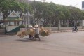 100_1135s * 540 x 360 * (37KB)