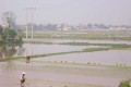 100_0392s * 540 x 360 * (27KB)