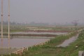 100_0394s * 540 x 360 * (26KB)