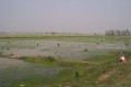 100_0396s * 540 x 360 * (29KB)