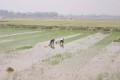 100_0398s * 540 x 360 * (30KB)