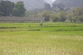100_0434s * 540 x 360 * (38KB)