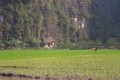 100_0502s * 540 x 360 * (46KB)