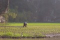100_0544s * 540 x 360 * (37KB)