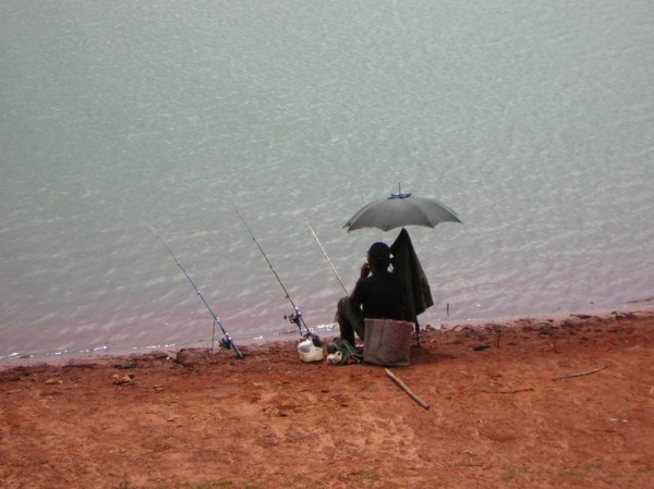 Clicca per vedere l'immagine originale